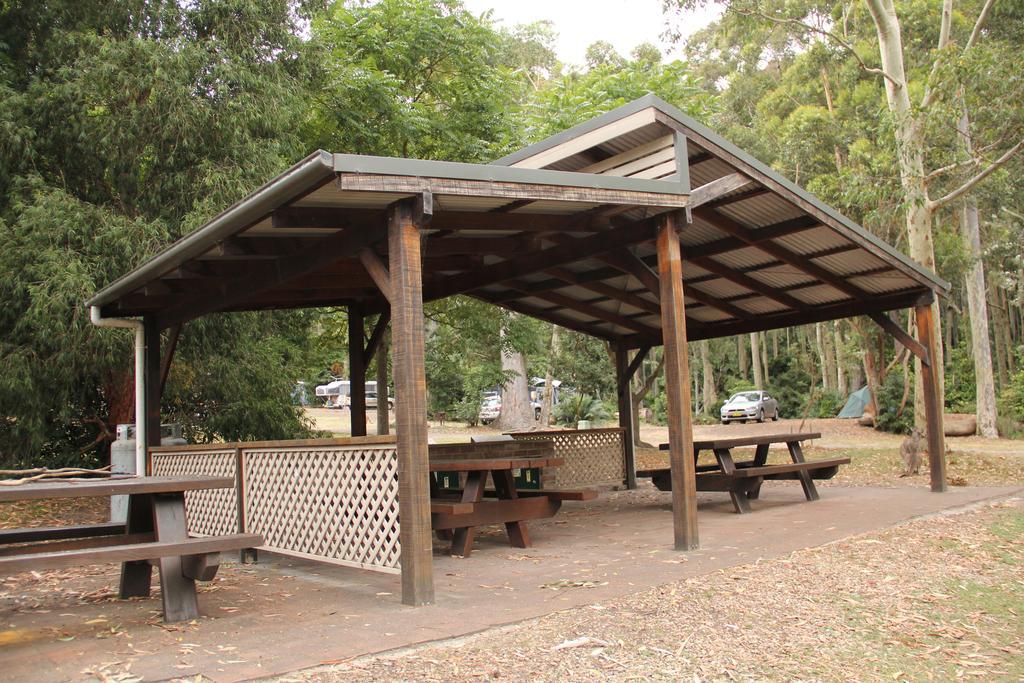 Depot Beach Cabins Villa Durras Esterno foto