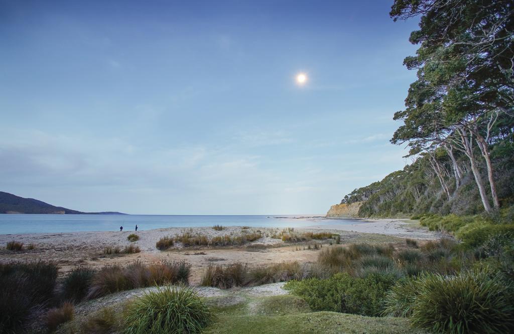 Depot Beach Cabins Villa Durras Esterno foto